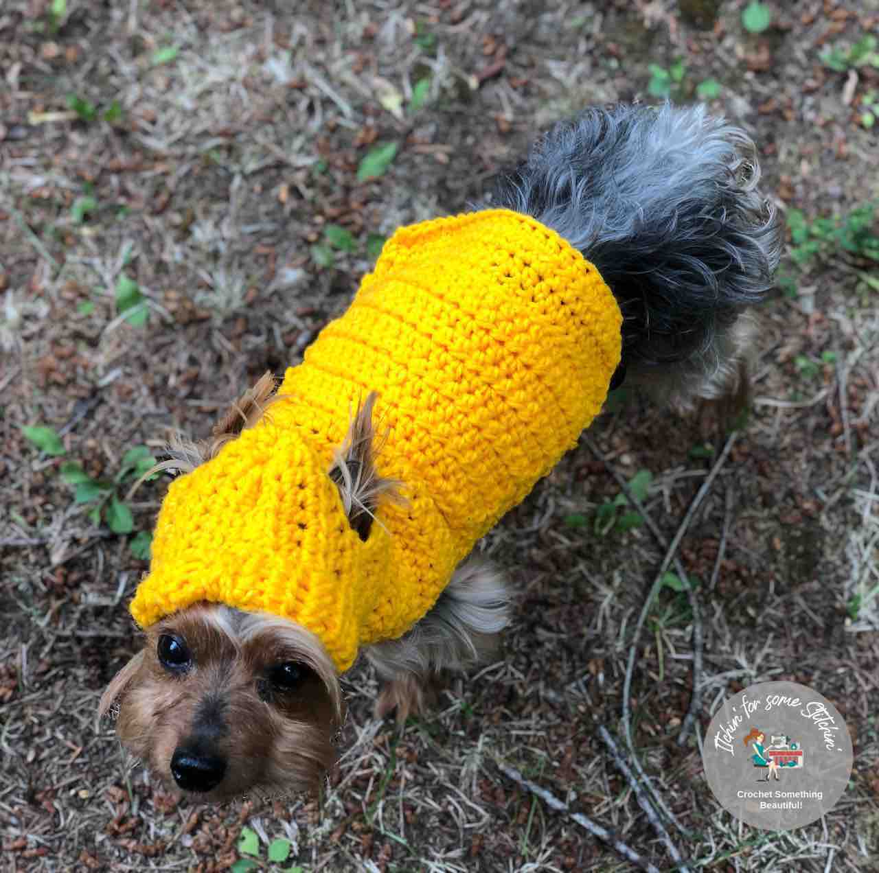 Jack's Small Dog Hoodie Sweater - The Free Crochet Family